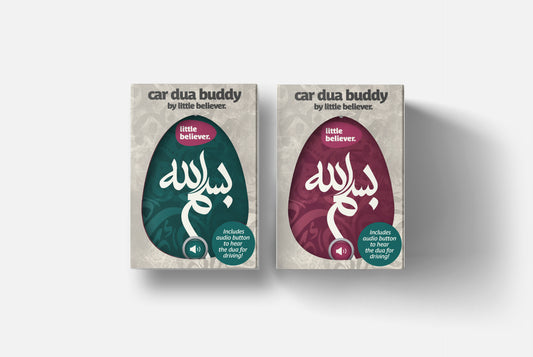 2x Car Dua Buddy Bundle