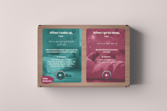 Single Touch & Learn Wall Plaque